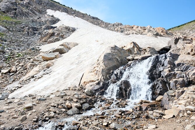 Guided Hike in Rockies - Half Day Trip - The Sum Up