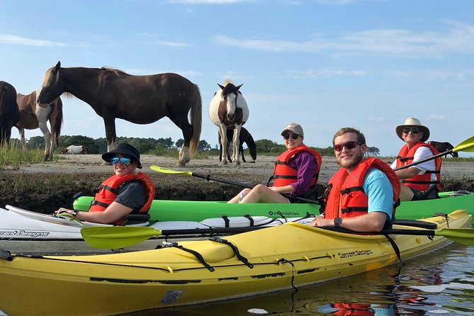 Guided Kayak Tour to See Ponies, Birds, Dolphins and More - Traveler Reviews