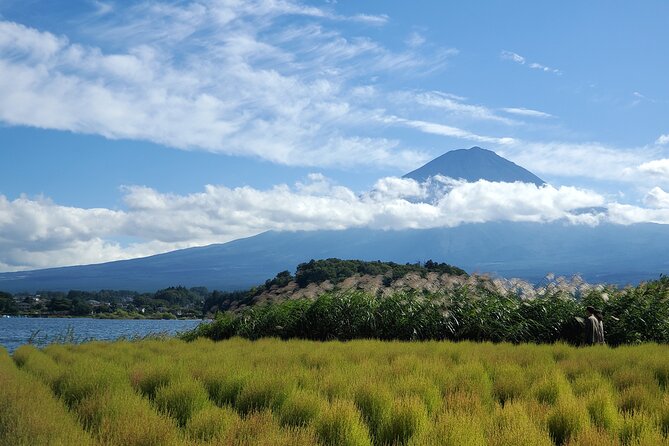 Guided Shimizu Port to Mt. Fuji Private Tour GREEN NUMBER PLATES - Visiting Oshino Hakkai