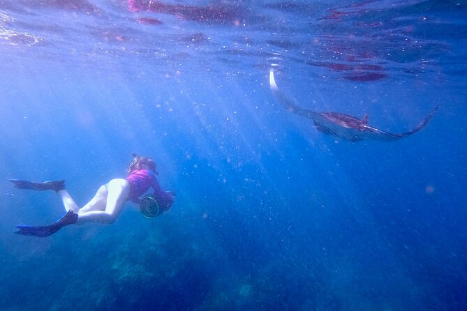 Guided Turtle Town Snorkel Tour With Sea Scooter - Makena - Instructor Expertise