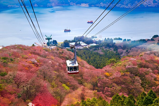Hakone Sightseeing Private Tour From Tokyo - Cruising Lake Ashi