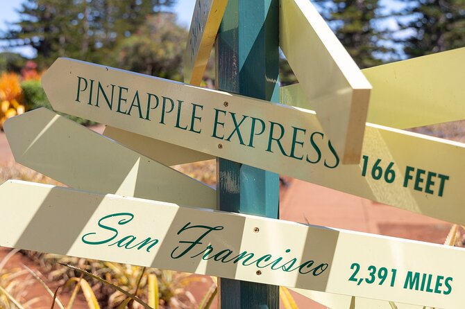 Haleiwa Express & Dole Plantation - Additional Information and Tips