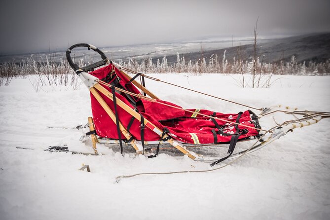 Half Day Drive Your Own Dog Team Dog Sledding Tour - Customer Reviews