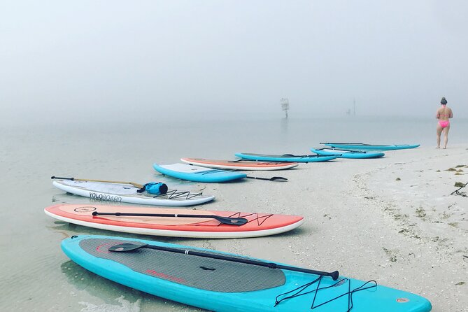 Half Day Excursion to Johns Pass Sandbar & Mangrove Tunnel - Facilities and Amenities
