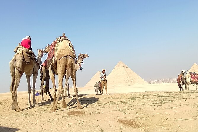 Half Day Giza Pyramids and Sphinx Tour With an Egyptologist - Discovering the Enigmatic Sphinx