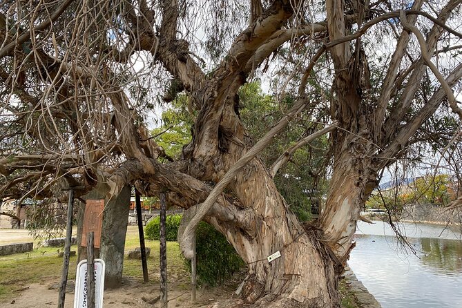 Half Day Hiroshima Highlight Tour With Story Telling - Practical Tips for Maximizing Your Hiroshima Experience