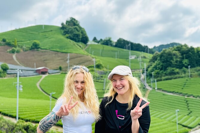 Half Day Nara and Matcha Farm Private Van Tour - Exploring the Magnificent Deer Park