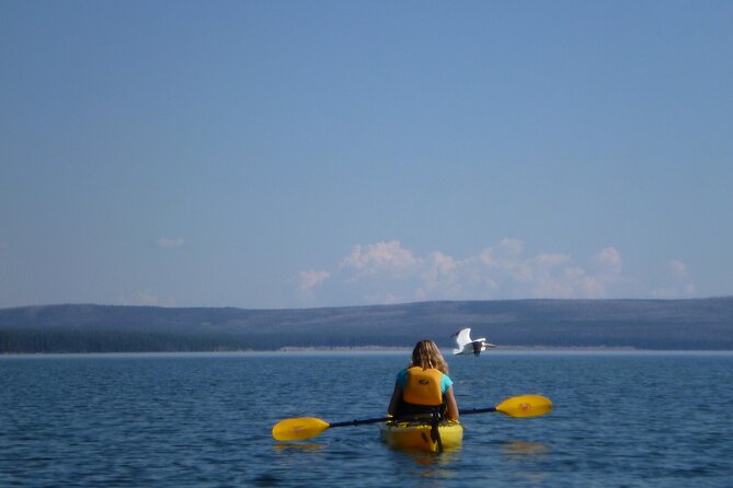 Half Day Paddle on Yellowstone Lake - The Sum Up
