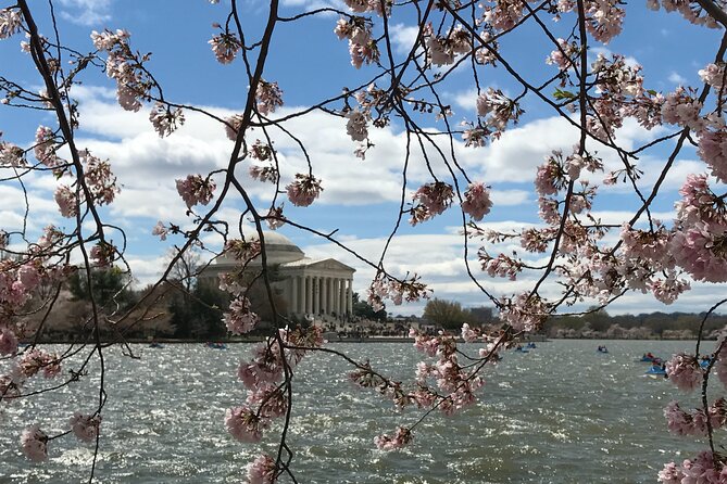 Half-Day Private Guided Bike Tour in Washington - Exploring Washington, DC on Two Wheels
