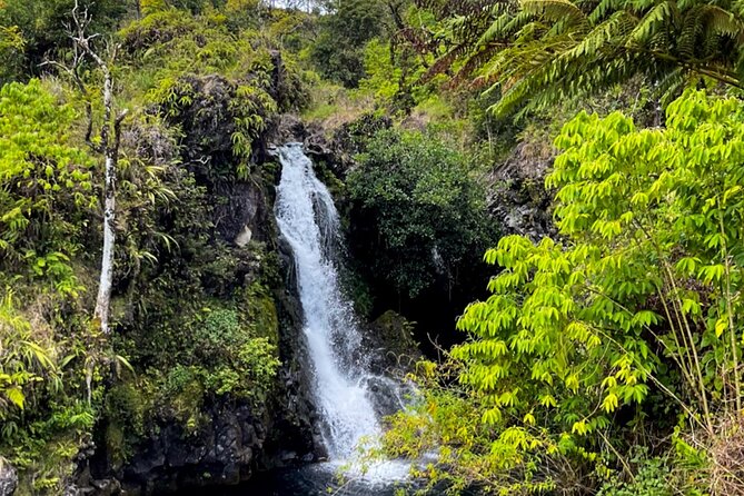 Half Day Private VIP Road to Hana Tour - Personalized Attention and Unforgettable Memories