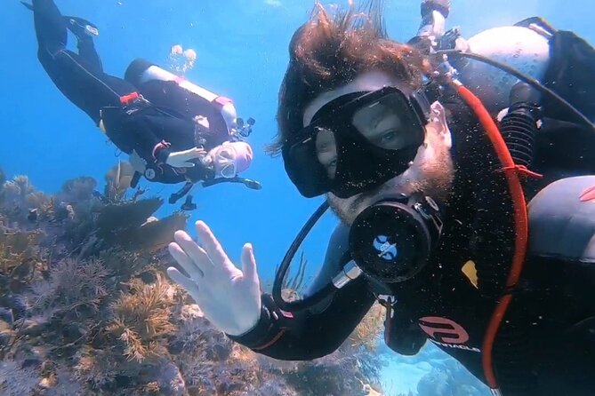 Half-Day Small-Group 2-Tank Scuba Dive in Key Largo (CERTIFIED DIVERS ONLY) - Snacks and Refreshments