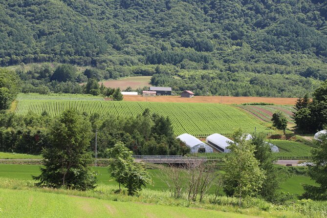 Harvest Experience in Akaigawa With Lunch Freshly Picked Veggies - What to Expect During the Harvest Experience