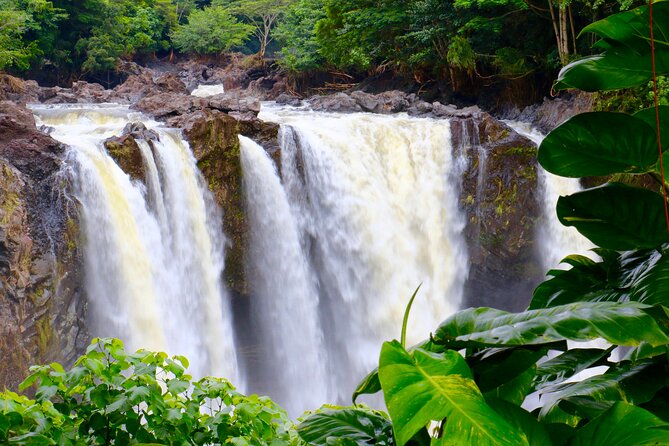 Hawaii Volcanoes National Park and Hilo Highlights Small Group Tour - What to Expect on the Tour