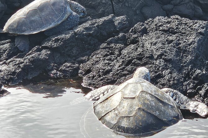 Hilo Guided Day Tour by Native Hawaiians - Reviews and Traveler Experiences