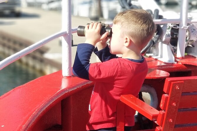 Historical and Architectural Chicago Fireboat River/Lake Cruise - Taking in Chicagos Rich Maritime History
