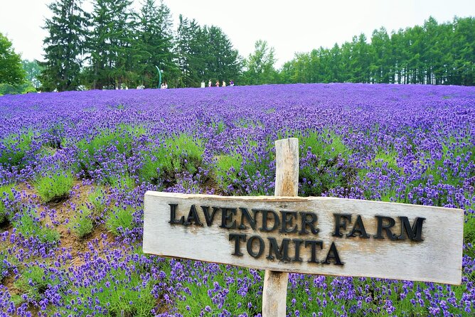 Hokkaido Day Trip From Sapporo Biei, Aoike, Furano Sea of Flowers - Additional Details