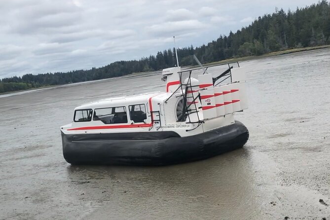 Hover Craft Scenic Tour in Talkeetna, Alaska - Memorable Moments and Lasting Impressions