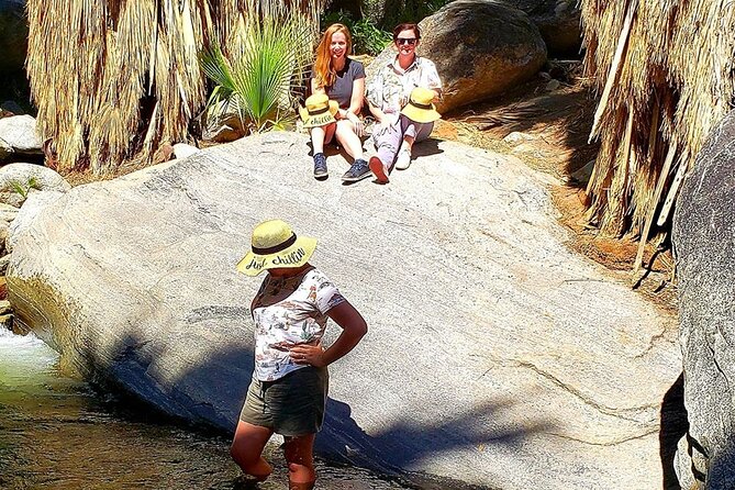 Indian Canyons Hiking Tour by Jeep From Palm Desert - Guest Reviews and Ratings
