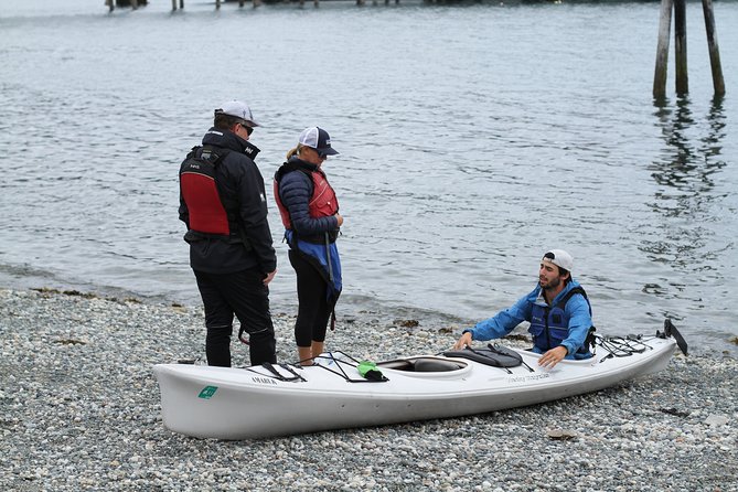 Inside Passage Sea Kayaking From Skagway - Guest Experiences and Feedback