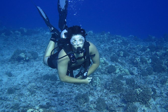 Introductory Beach Scuba Dive - The Sum Up