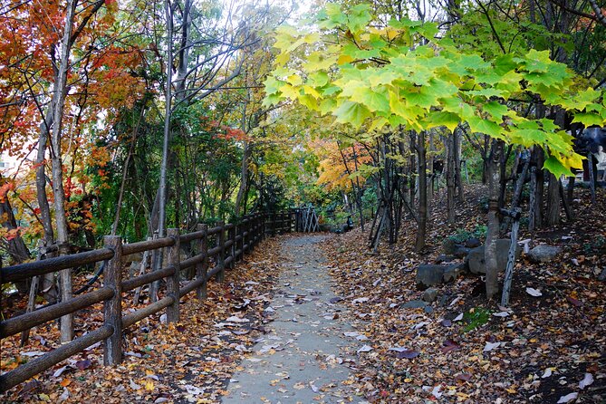 Jozankei Autumn Leaves Day Tour by Private Car - Highlights of the Jozankei Farm