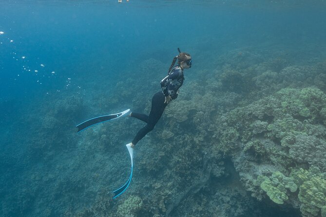 Kaimana Kealakekua Bay Captain Cook Adventure - Personalized Experience