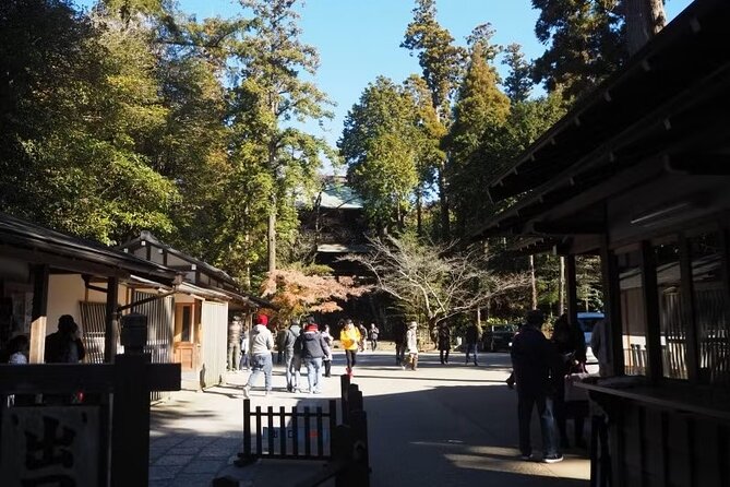 Kamakura Private Cultural and Historical Hiking Tour - What to Expect on the Tour