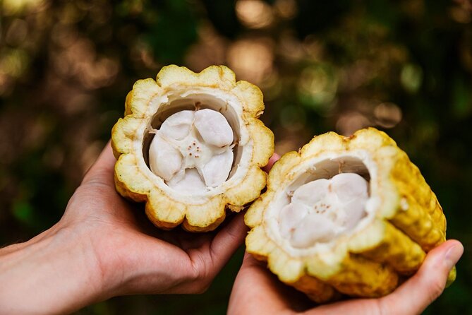 Kauai Chocolate Farm Tasting Tour - Additional Information