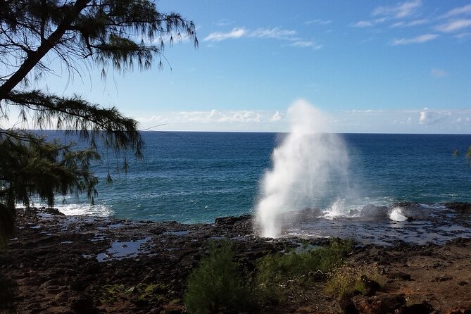 Kauai Island Tour : Journey to Waimea Canyon & More Highlights - Additional Information and Tips