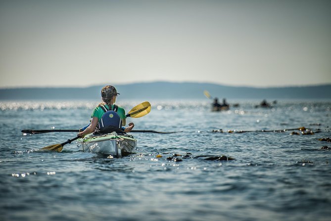 Kayaking in Deception Pass State Park - Pricing and Cancellation Policy