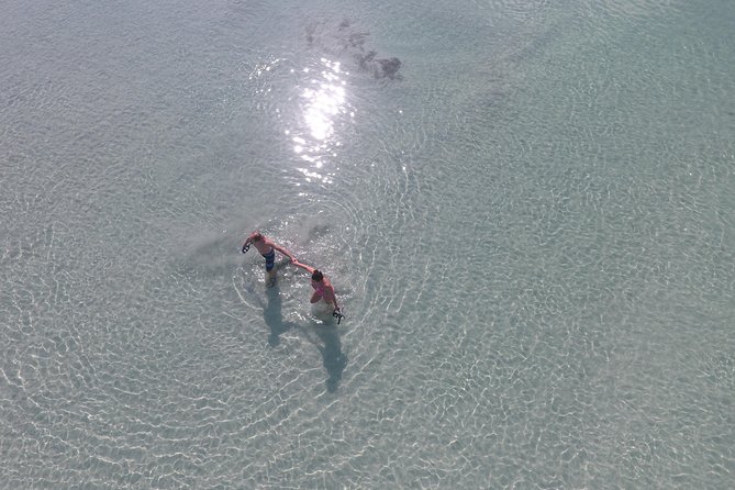 Key West Safari Eco Sandbar Tour Adventure With Snorkeling - Customer Reviews and Recommendations