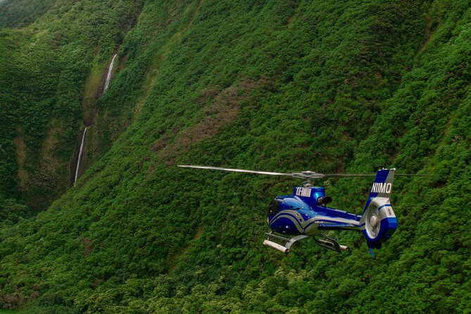 Kohala Waterfalls With Exclusive Landing Helicopter Tour - Exploring the Kohala Coasts Natural Wonders