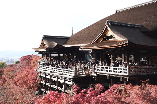 Kyoto Exclusive Private Tour With Vehicle & Professional Guide - Tour Highlights