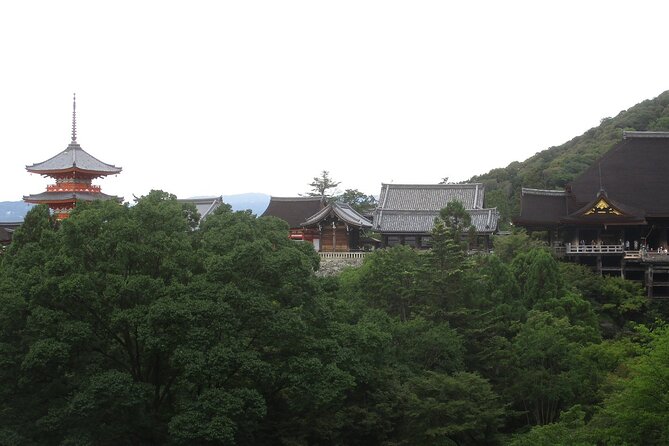 Kyoto ITALIAN GUIDE, Kiyomizu Temple Gion Pagoda Maiko Geisha - Confirmation and Payment Details