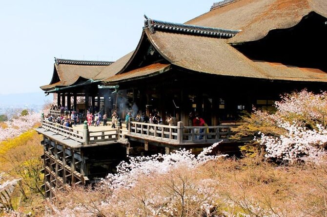 Kyoto Matcha Experience and Ancient Temple Day Tour - Experiencing the Highlights of the Tour