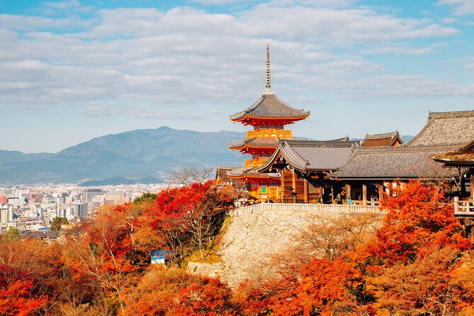 Kyoto Night Walking Tour With a Licensed Local Guide - Savoring the Local Cuisine and Nightlife