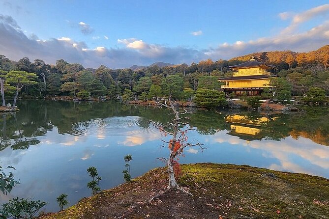 Kyoto, Osaka, Nara, Kobe Private Tours - What to Expect on the Tour