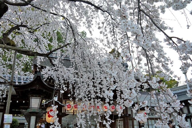 Kyotos World Heritage Walking Tour From Kyoto St. - Nijo Castle