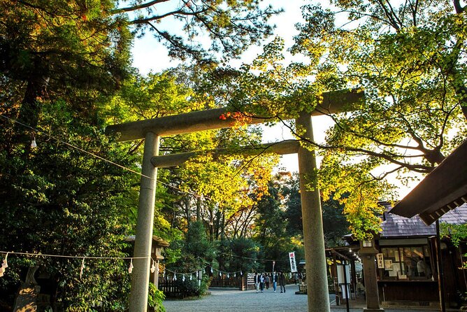 Kyushu Day Trip to Takachiho Gorge and Shrines From Fukuoka - Visiting the Shinto Shrines