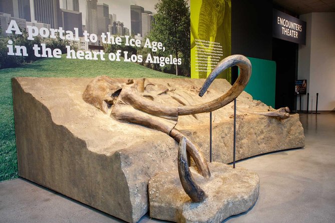 La Brea Tar Pits and Museum Admission Ticket With Excavator Tour - Visitor Reviews and Feedback