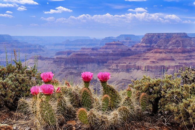 LA: Vegas, Grand Canyon, Antelope and Bryce, Zion 4-Day Tour - Booking Details