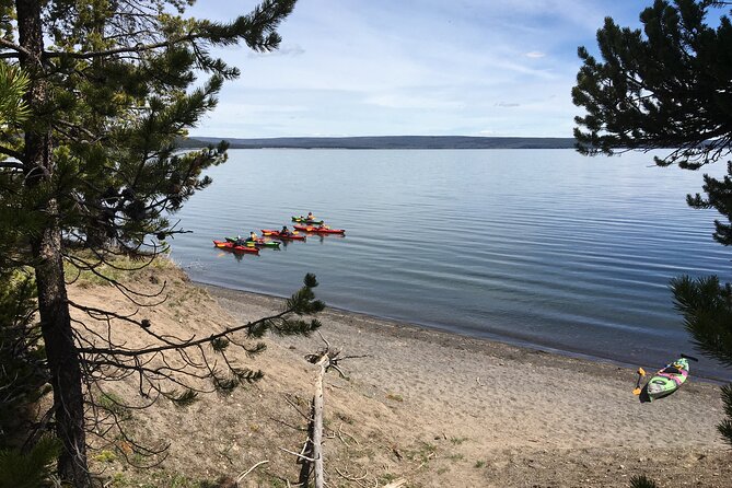 Lake Yellowstone Half Day Kayak Tours Past Geothermal Features - Customer Experiences and Feedback