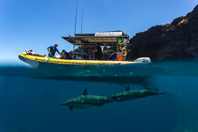 Lanai Deluxe Dolphin Adventure & 3 Snorkel Sites - Preparing for an Unforgettable Adventure