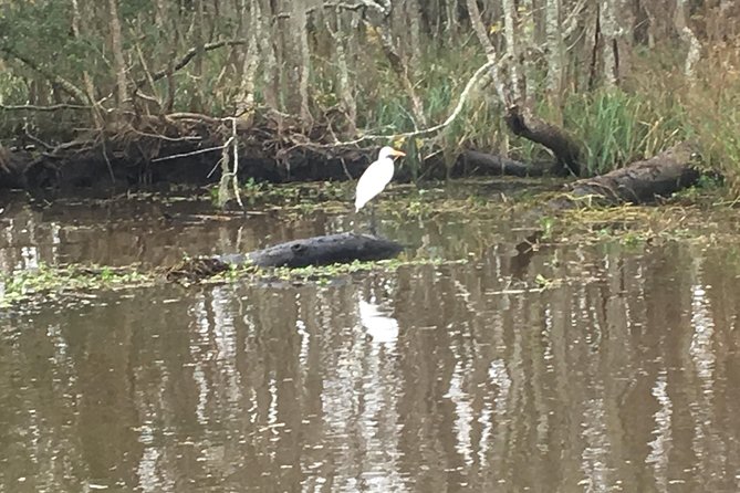 Laura Plantation & Airboat Tours - The Sum Up