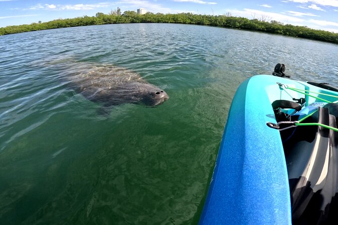 Lido Key Pedal Kayak Tour in Sarasota - Preparing for the Kayak Tour