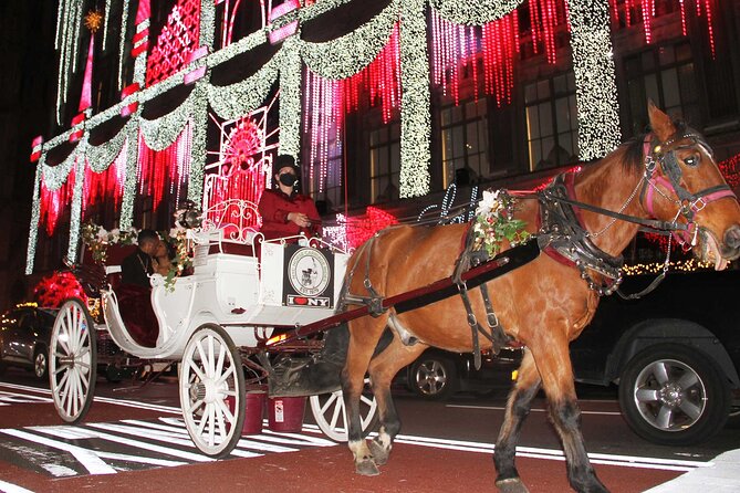 Magical Evening Horse-Drawn Carriage Through NYC (65 Min) - Planning Your Special Occasion