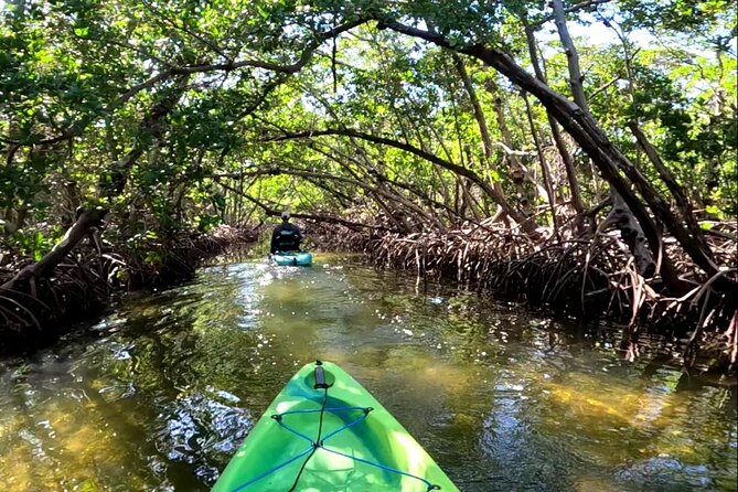 Mangrove Tunnels Pedal Kayak Eco-Tour in Anna Maria - Accessibility and Recommendations