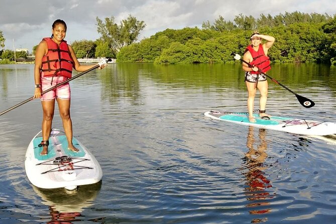 Miami Kayak and Paddleboard Rentals in Virginia Key - Exploring Virginia Key and Surroundings