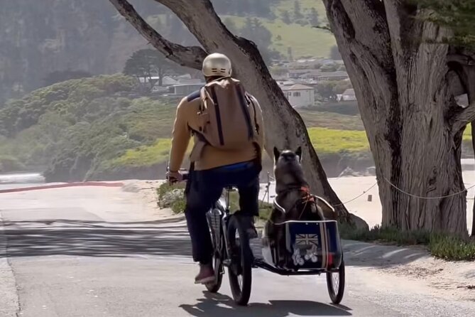 Monterey Bay Famous Dog Friendly Electric Bike and Sidecar Tour - Pricing and Booking Information
