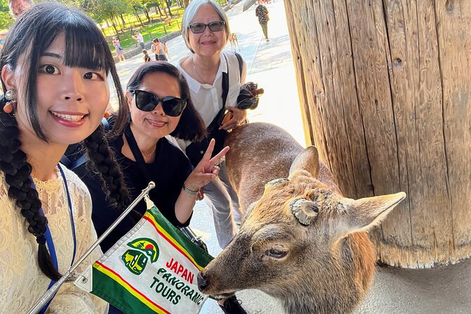 Morning Wonder World Heritage Nara Guided Tour - Tips for a Successful Tour